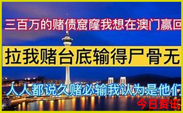 8天旅游适合去哪